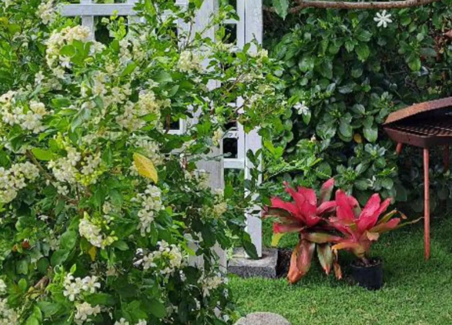 Apartment Studio Ste Anne Pres Des Spots De Surf Sainte-Anne  Guadeloupe